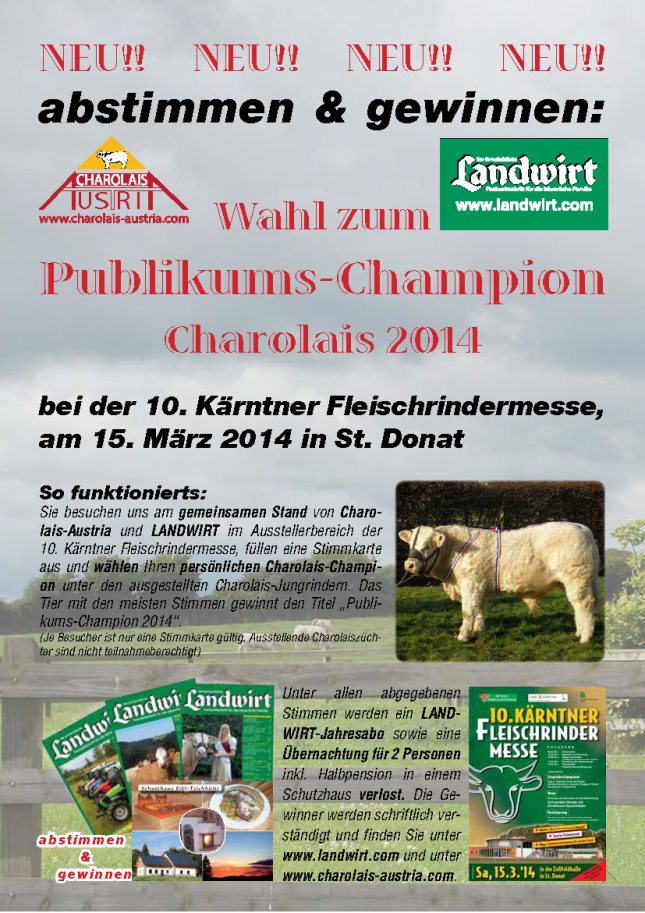 flyer_Publikumschampion