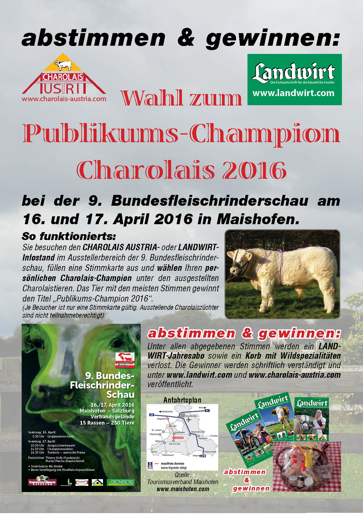 flyer_Publikumschampion2016