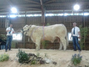 Heracles M - Champion Junior 2014 Quelle: GAEC Micaud