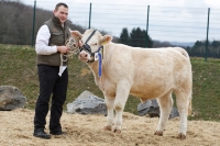 UNE CHERIE (Don Juan x Romulus)