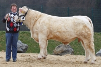 EGAL (Boss x Roman)