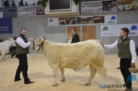 FAMEUSE (Empereur x Argenty)
