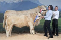 LIBERTY (Richard x Jaquille)