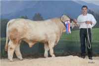 ECHNATON (Superman x Horace)