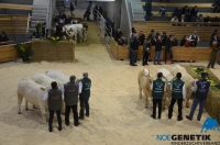 Fleischrindertag__293