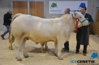 PIONIER (Saumur x Urgo)