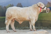 HORACEJUN (Horace x Padirac)