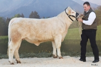 UNE CHERIE (Don Juan x Romulus)