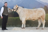 FAMEUSE (Empereur x Argenty)