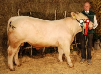 RONNI (Rural x Olymp)
