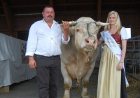 Charolais-Austria Züchtertreffen 2013