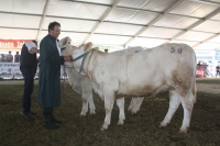 BFRS_2013 016