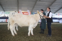 BFRS_2013 017