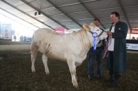 BFRS_2013 020