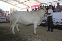 BFRS_2013 103