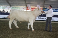 BFRS_2013 106