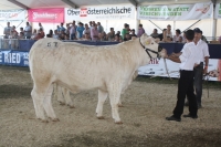BFRS_2013 107