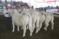 BFRS_2013 115