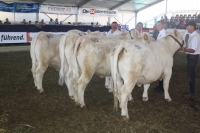BFRS_2013 117