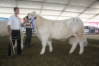 BFRS_2013 121