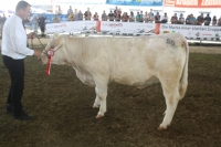 BFRS_2013 123