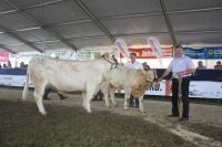 BFRS_2013 143