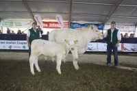 BFRS_2013 146