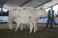 BFRS_2013 147