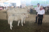 BFRS_2013 153