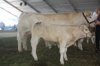 BFRS_2013 155