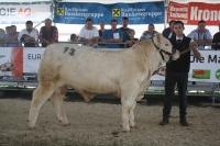 BFRS_2013 214