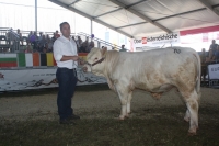 BFRS_2013 216
