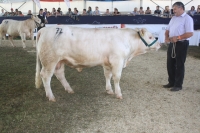 BFRS_2013 219