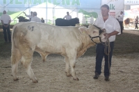 BFRS_2013 220