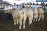 BFRS_2013 224