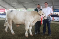 BFRS_2013 226