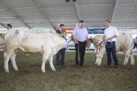 BFRS_2013 229