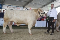 BFRS_2013 255