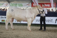BFRS_2013 256