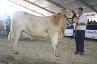 BFRS_2013 258