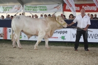 BFRS_2013 260