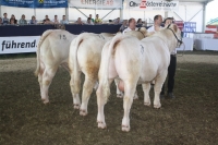BFRS_2013 267