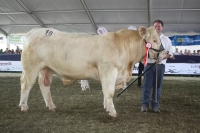 BFRS_2013 271