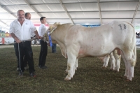 BFRS_2013 272
