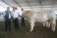 BFRS_2013 276