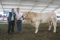 BFRS_2013 278