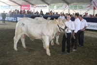 BFRS_2013 279