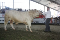 BFRS_2013 285