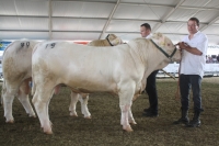 BFRS_2013 286