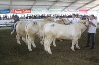 BFRS_2013 288
